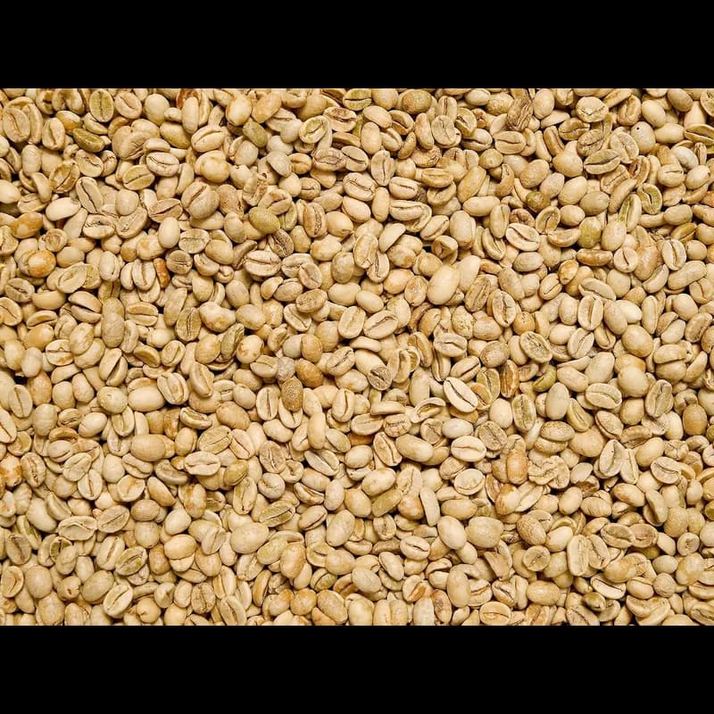Caffè Corsini India Monsooned Malabar 250g – Caffè Corsini Kaffeebohnen