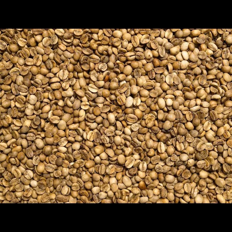 roastmarket ORIGINS INDIA Vorteilspaket 1kg – roastmarket ORIGINS Kaffeebohnen