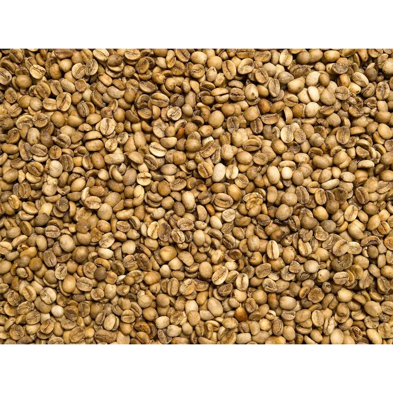 roastmarket ORIGINS INDIA Vorteilspaket 1kg – roastmarket ORIGINS Kaffeebohnen